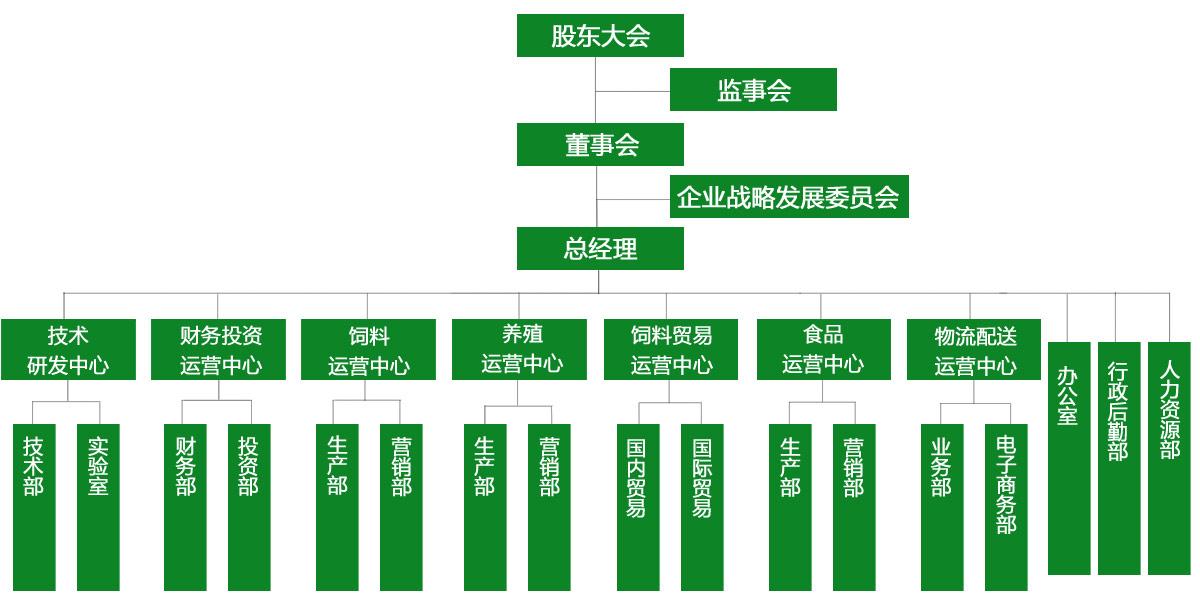 臻美集团组织架构