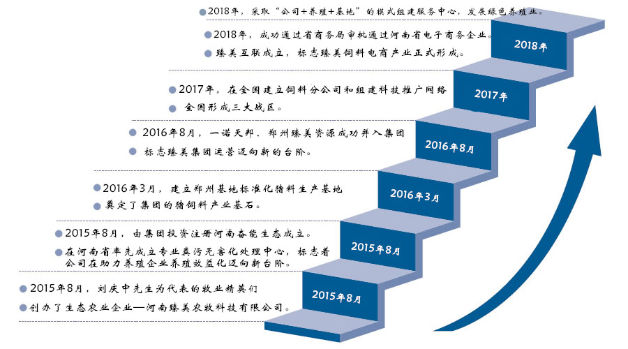 臻美集团发展历程