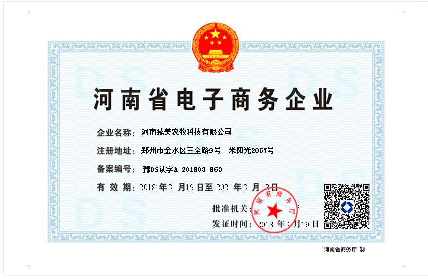 河南省电子商务企业证书