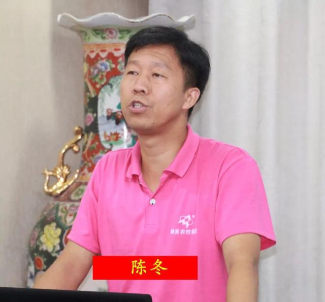 陈冬